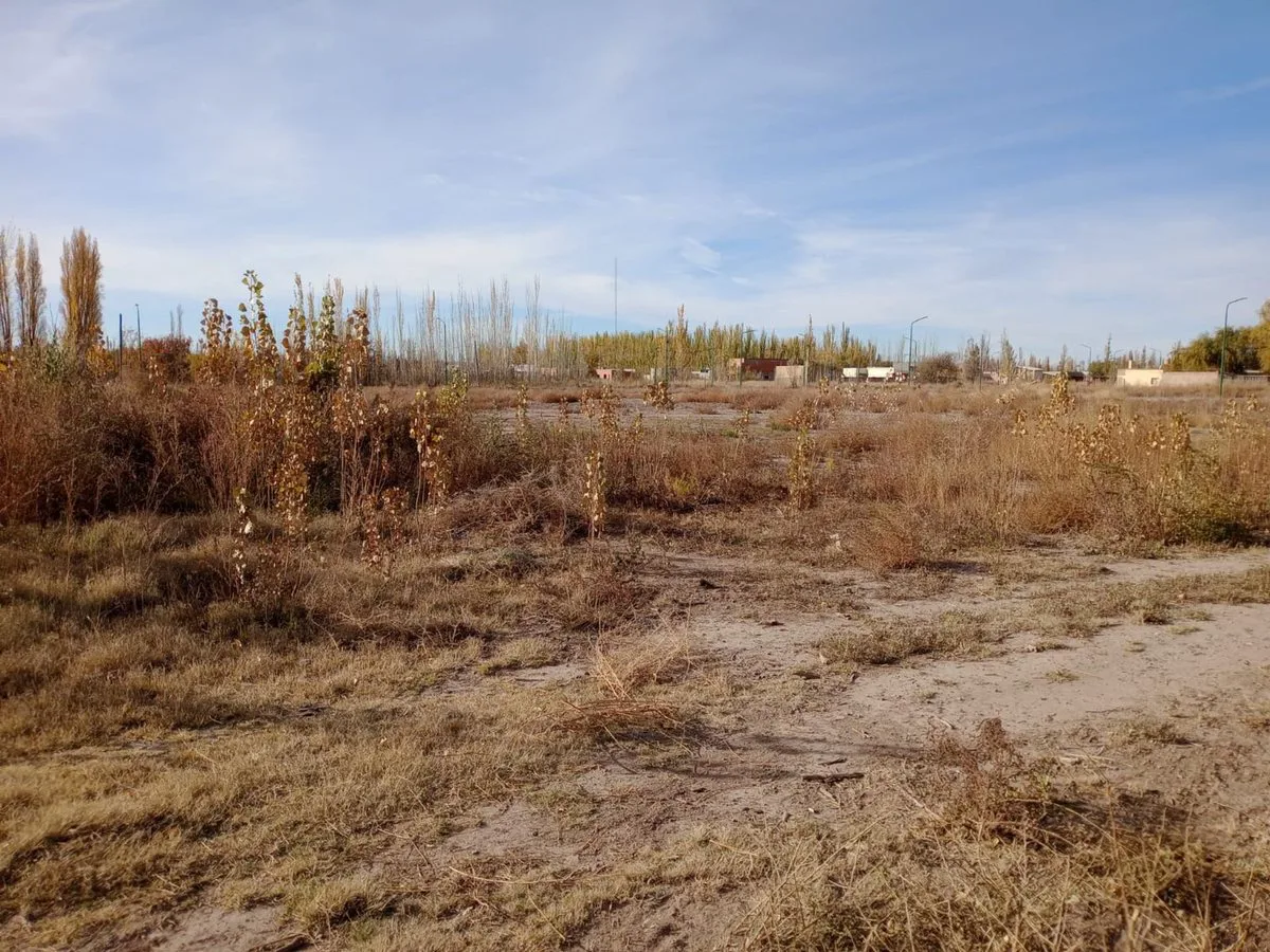 Venta de terreno de 1028,04 en Fernandez Oro foto 4