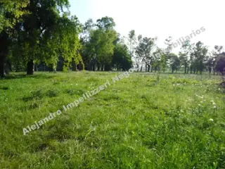 Campo en Venta en Villa Astolfi, Pilar, Buenos Aires foto 3