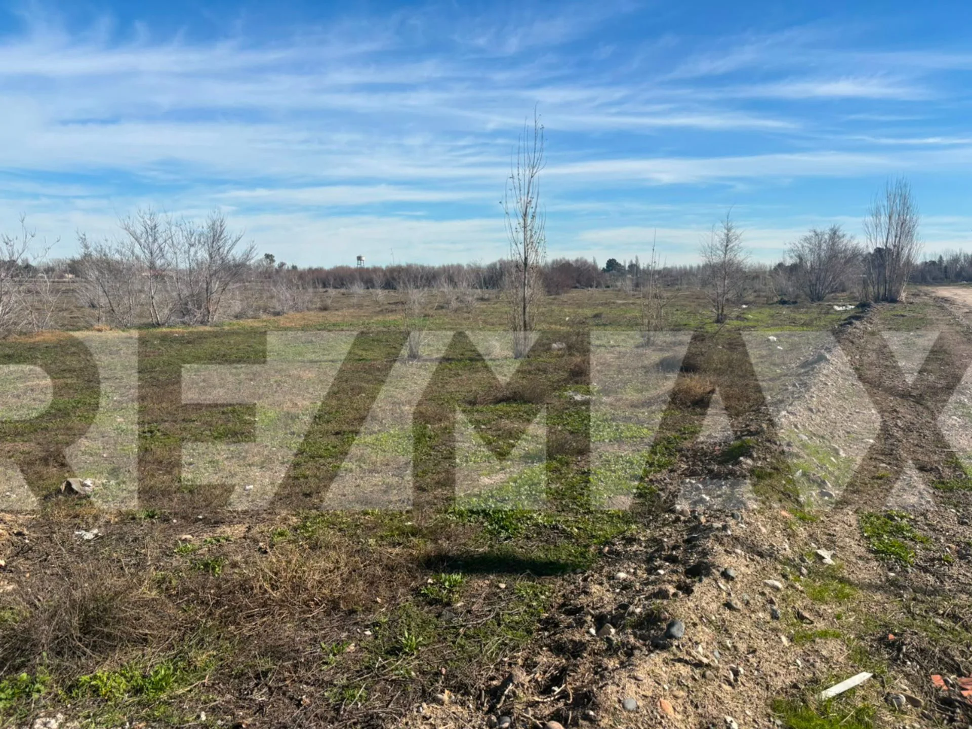 TERRENO EN BARRIO SAN GABRIEL II 275M2 foto 4