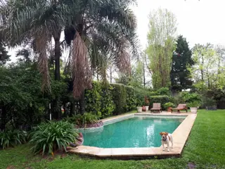 CASA EN VENTA EN VENTA EN PILAR VILLAGE foto 3