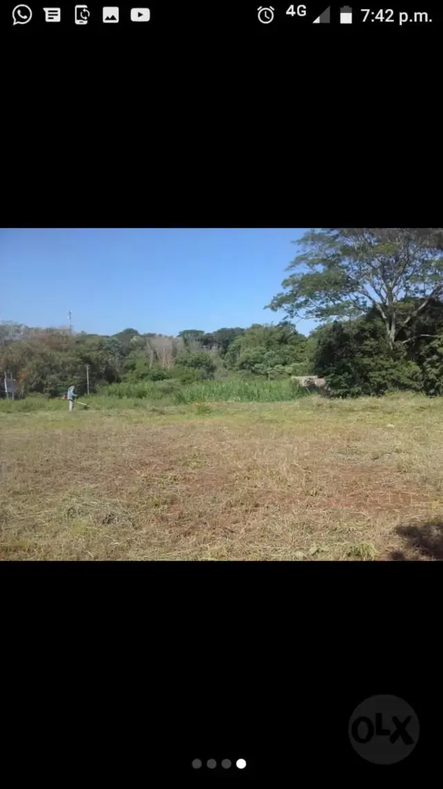 CAMPO MIXTO EN MISIONES.