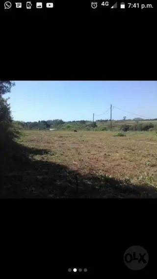 CAMPO MIXTO EN MISIONES. foto 2