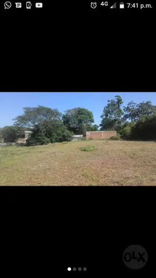 CAMPO MIXTO EN MISIONES. foto 3