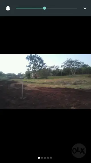 CAMPO MIXTO EN MISIONES. foto 4