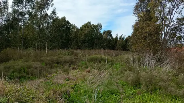 4.5 HECTARIAS EN VENTA EN VILLA GARIBALDI