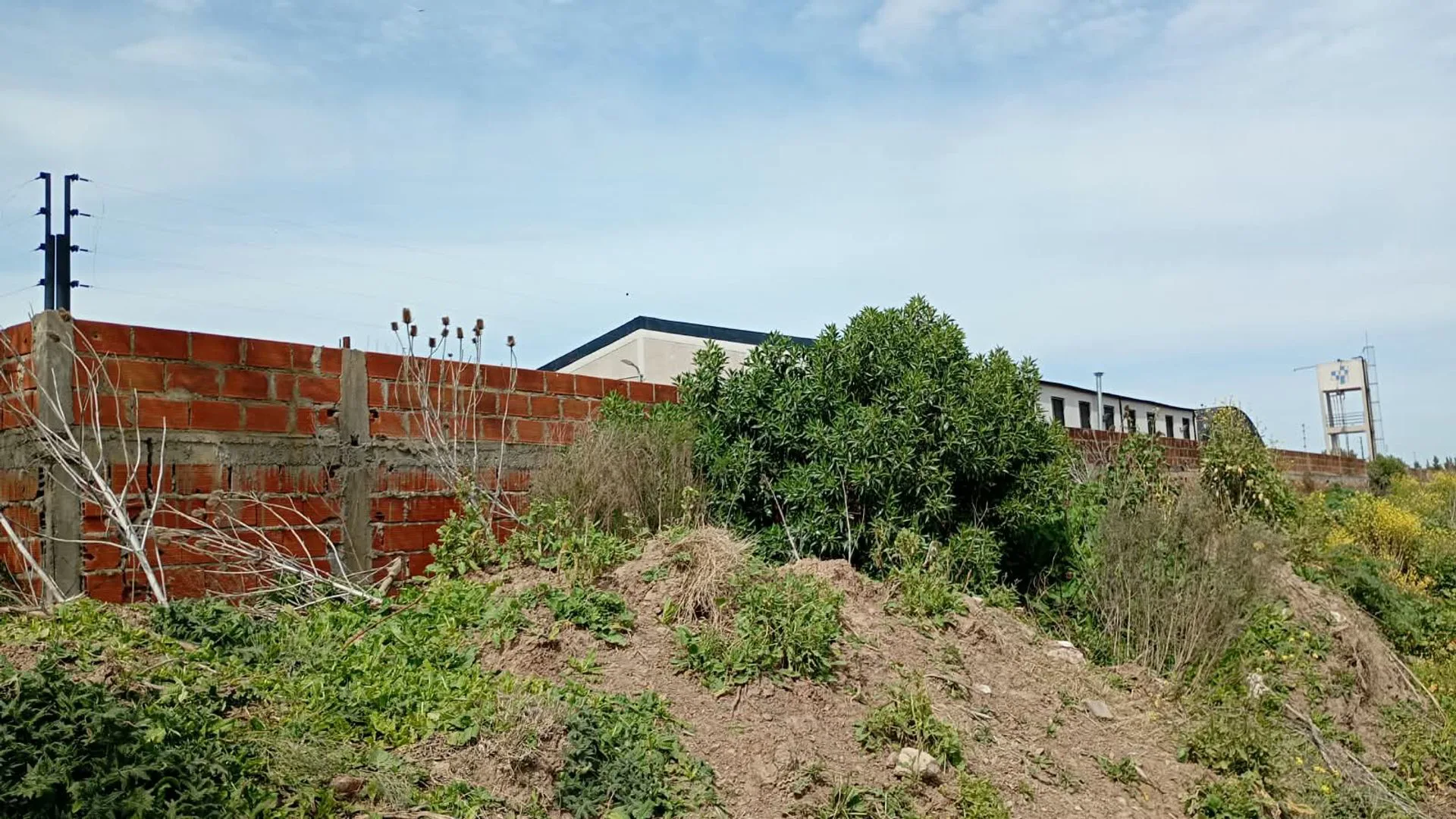4.5 HECTARIAS EN VENTA EN VILLA GARIBALDI foto 5