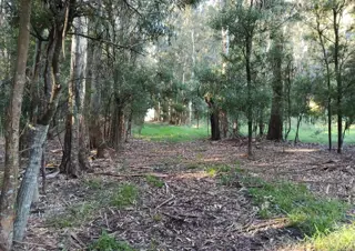 CAMPO en Venta 6,35 Hectáreas en Punta Indio foto 2