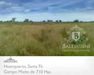 CAMPO MIXTO DE 710 HECTÁREAS EN HUANQUEROS, SANTA FE, REPÚBLICA ARGENTINA. CAMPO CON CASA, CORRALES, POZO Y OTRAS MEJORAS. PARA 700 ANIMALES. foto 3