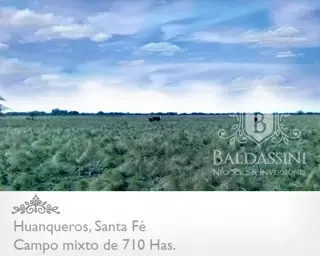 CAMPO MIXTO DE 710 HECTÁREAS EN HUANQUEROS, SANTA FE, REPÚBLICA ARGENTINA. CAMPO CON CASA, CORRALES, POZO Y OTRAS MEJORAS. PARA 700 ANIMALES. foto 4
