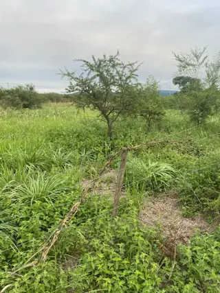 Retasado Venta Lote 2 Mzana. 9 775,19m2 ESCRITURA PÚBLICA BarrioParqueSan José en Anisacate U$S11.000. foto 5