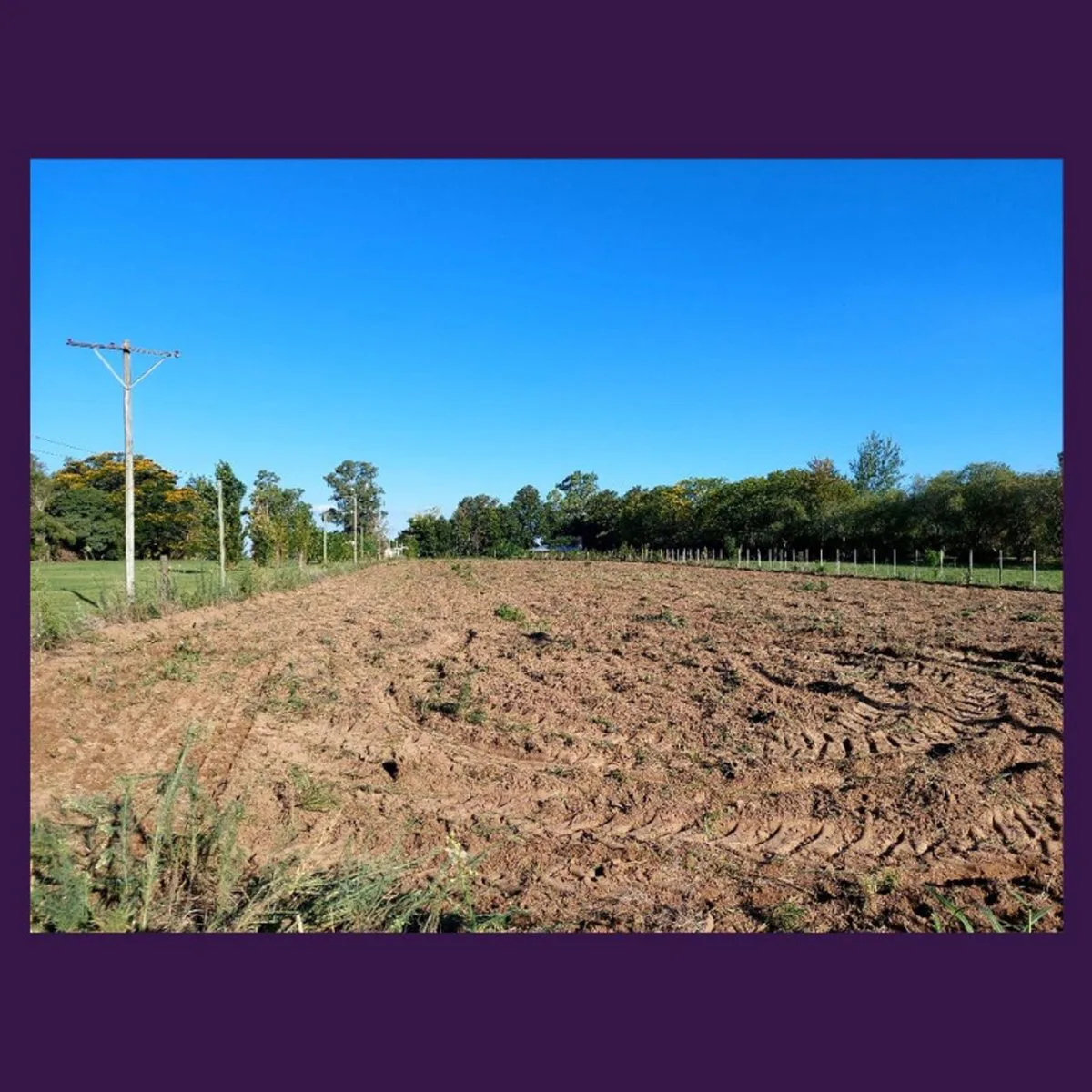 TERRENO ESTRATEGICO JUNTO AL RIO-IDEAL INVERSORES foto 3