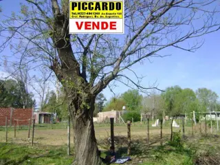 3 lotes en venta B los Troncos Gral. Rodríguez Piccardo foto 1