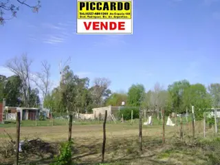 3 lotes en venta B los Troncos Gral. Rodríguez Piccardo foto 2