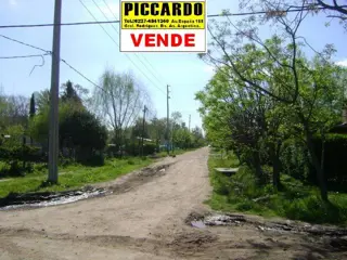 3 lotes en venta B los Troncos Gral. Rodríguez Piccardo foto 4