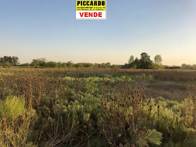 DOS LOTES TERRENOS EN VENTA Bº VILLA ITA REF. 1384 GRAL. RODRÍGUEZ PICCARDO