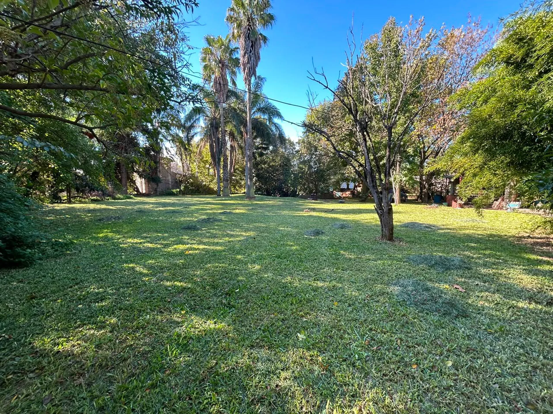 LOTE EN VENTA - IBARLUCEA 1296M2 - FORESTADO foto 2