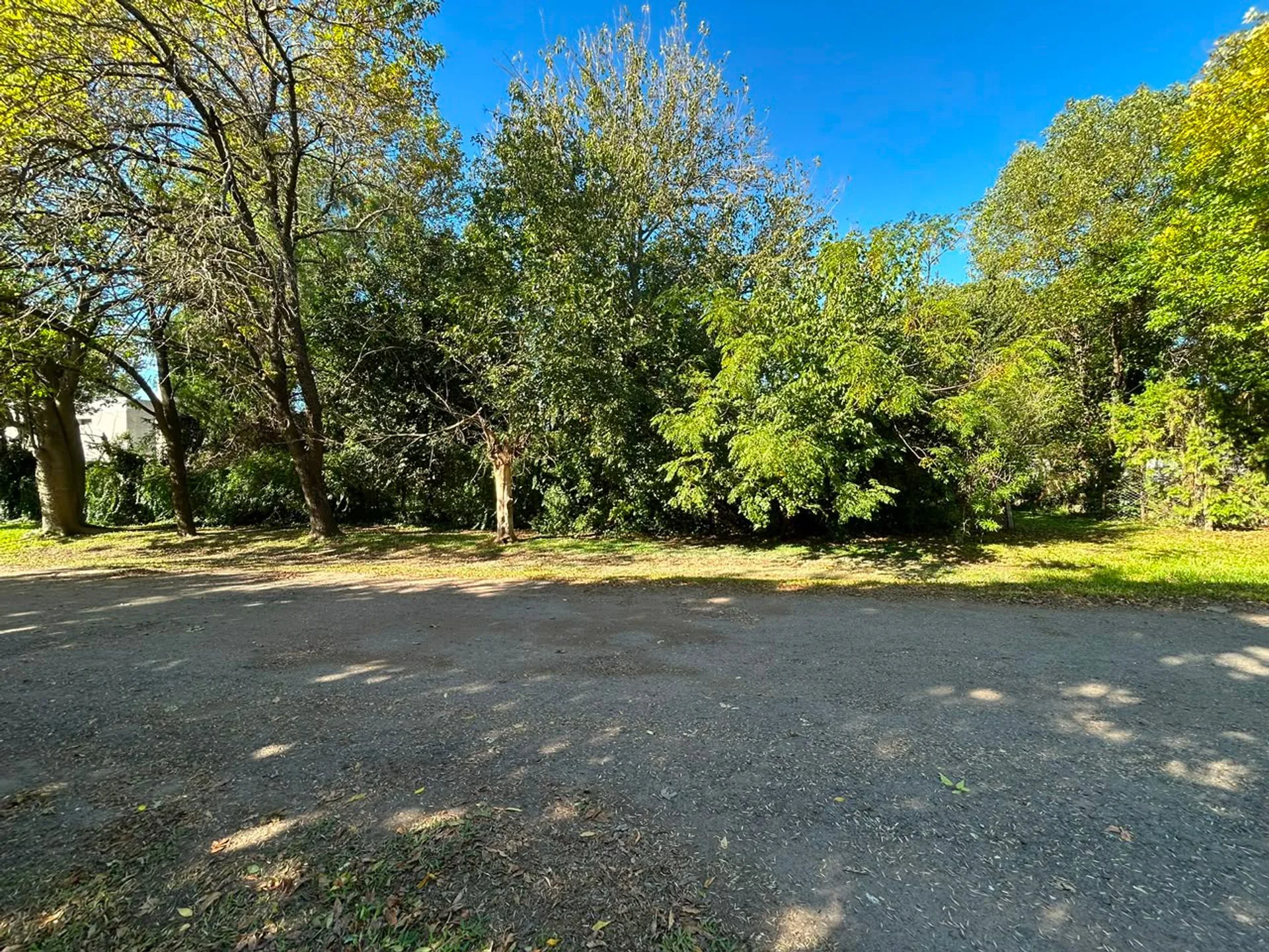 LOTE EN VENTA - IBARLUCEA 1296M2 - FORESTADO foto 4