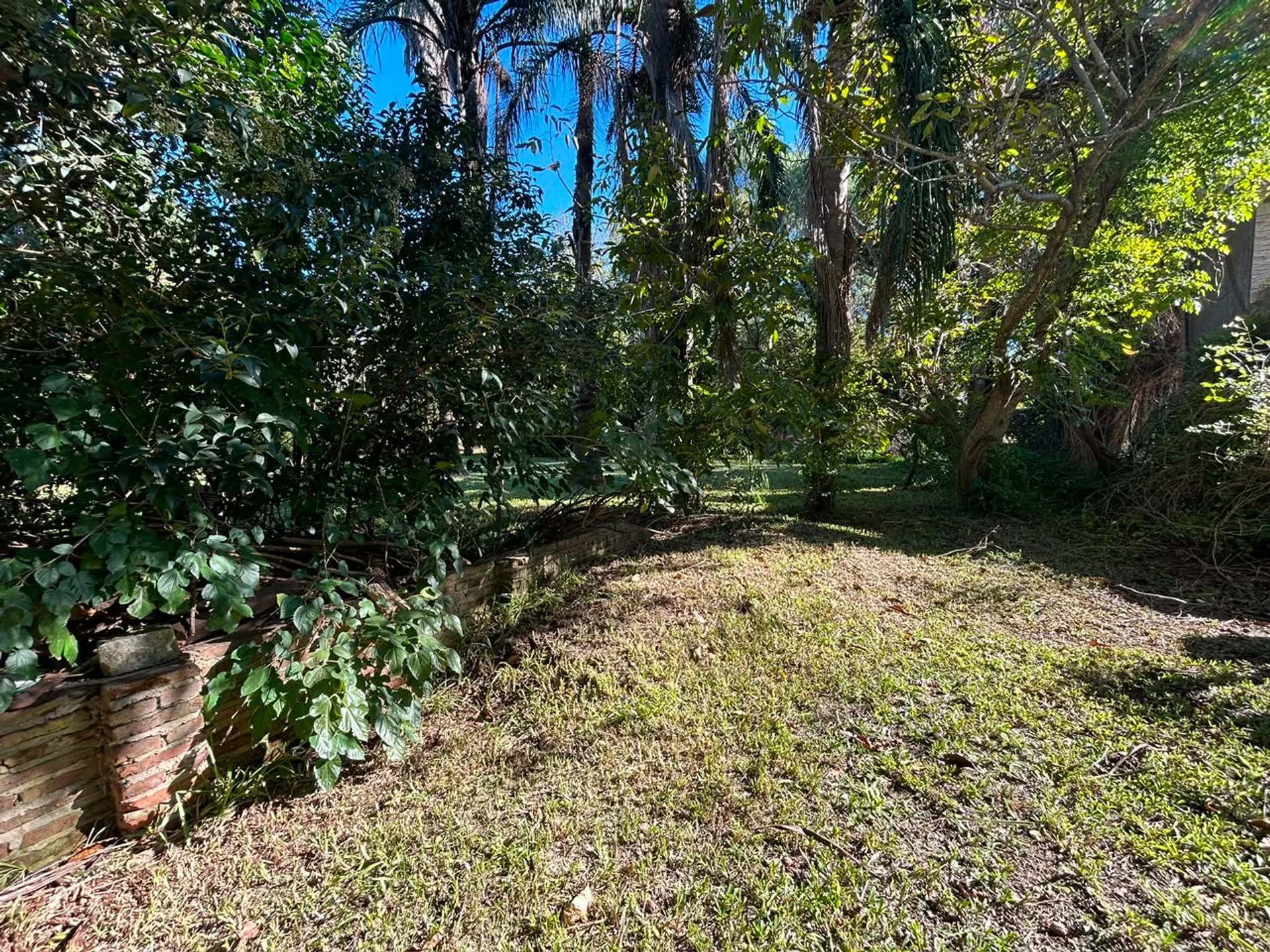LOTE EN VENTA - IBARLUCEA 1296M2 - FORESTADO foto 5