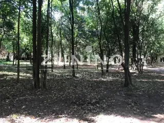 lotes en venta el cortijo, consulte precios foto 4