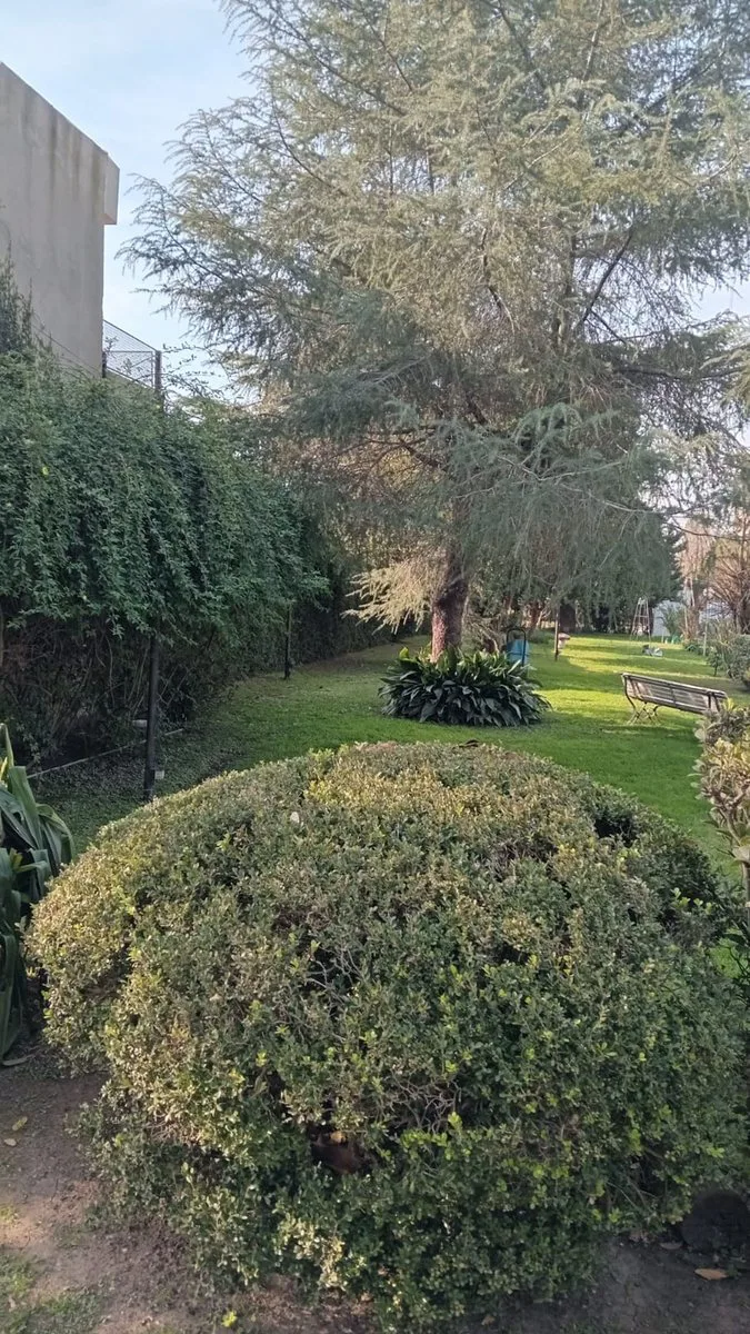 CASA QUINTA VENTA, LOTE 4100m2, PILETA, QUINCH0 foto 5