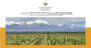 Lote de 3000 mts2 en Tupungato Valley foto 2