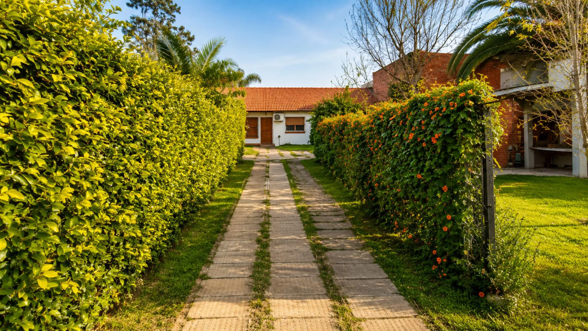 Venta PH 3AMB Ituzaingó con Jardín foto 4