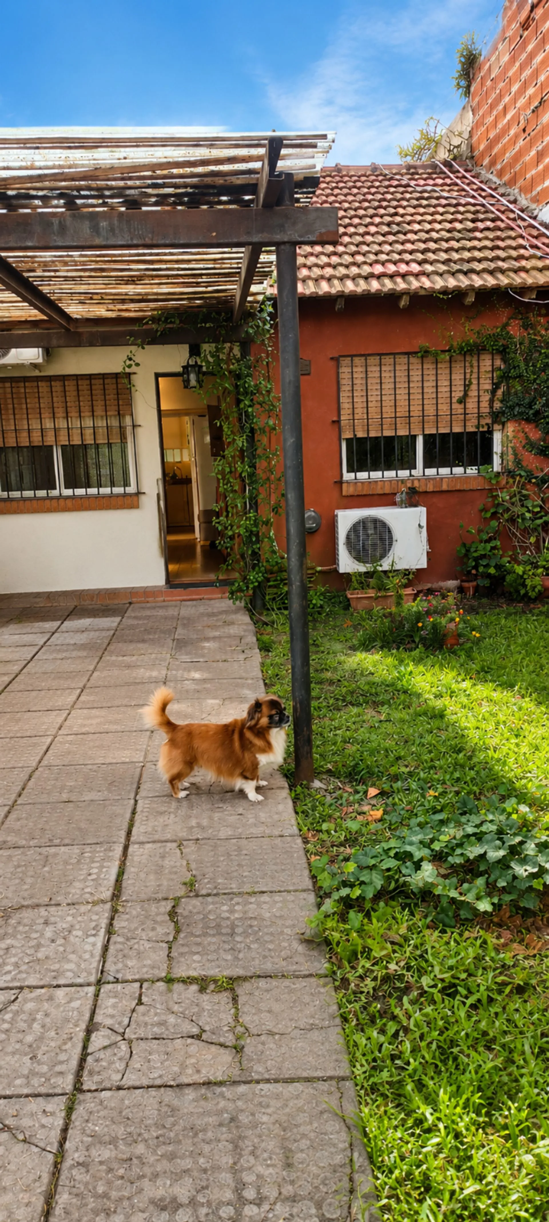 Venta PH 3AMB Ituzaingó con Jardín foto 5
