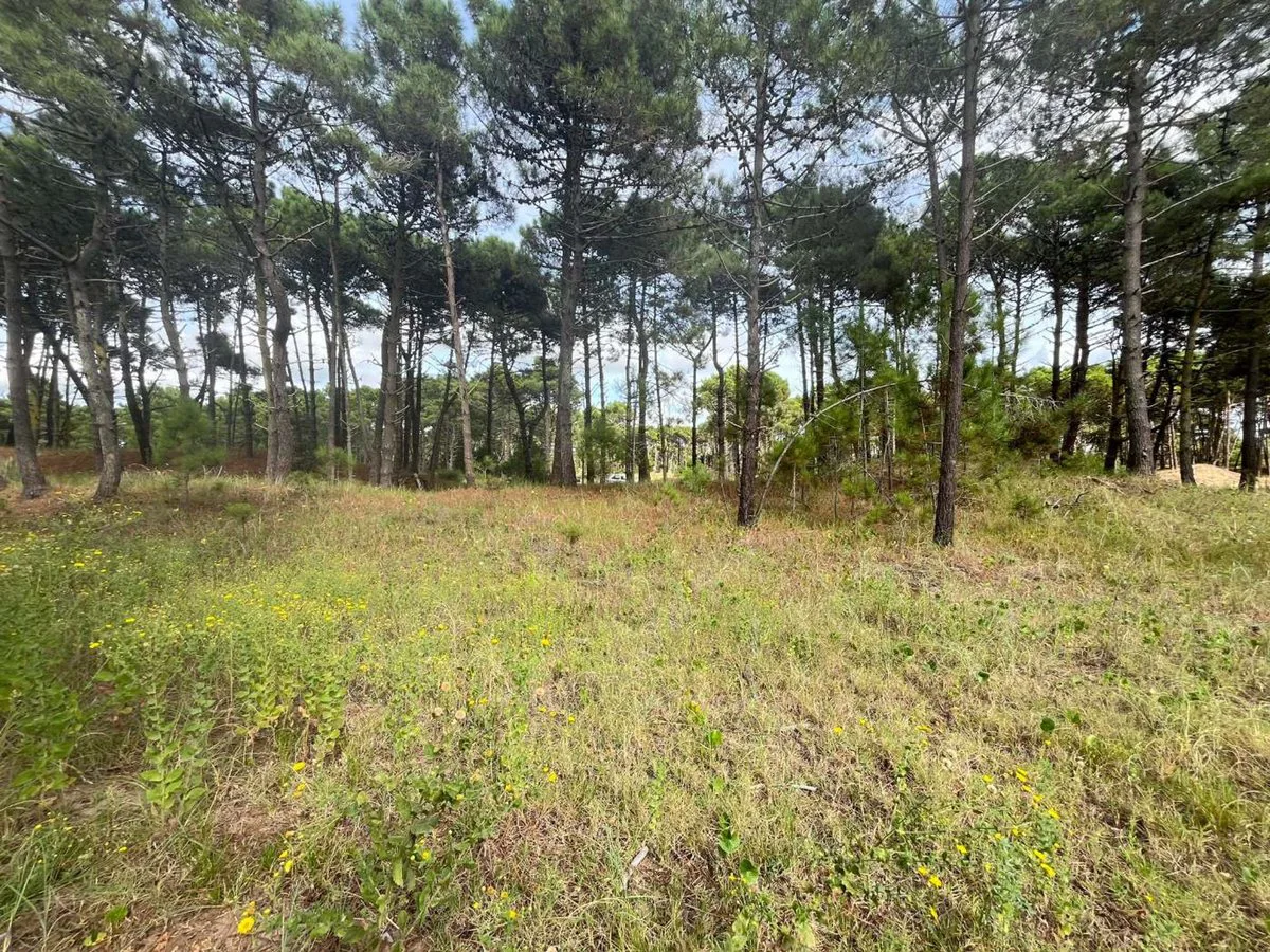 VENTA DE LOTE EN PINAMAR. BARRIO BOSQUES ETAPA 1 foto 2