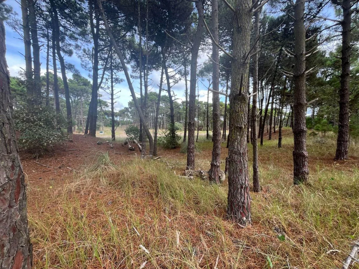 VENTA DE LOTE EN PINAMAR. BARRIO BOSQUES ETAPA 1 foto 5