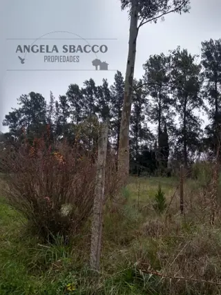 Terreno en venta en El Remanso foto 2