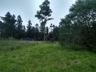 Terreno en venta en El Remanso foto 3