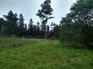 Terreno en venta en El Remanso foto 4