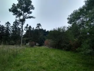 Terreno en venta en El Remanso foto 5