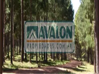 Terreno en Venta en Rosario, Rosario, Santa Fé foto 3
