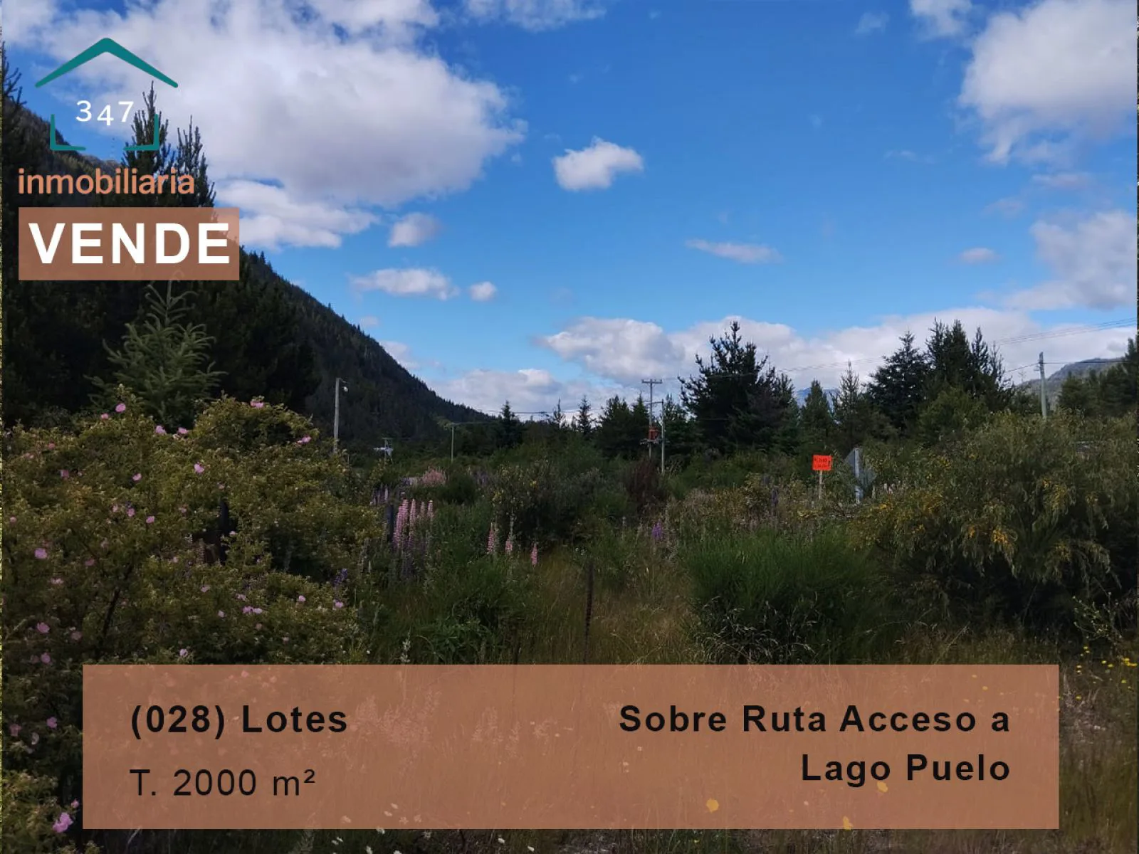 LAGO PUELO-Radal sobre ruta ingreso alternativo-LOTE en condominio de 1.000m2
