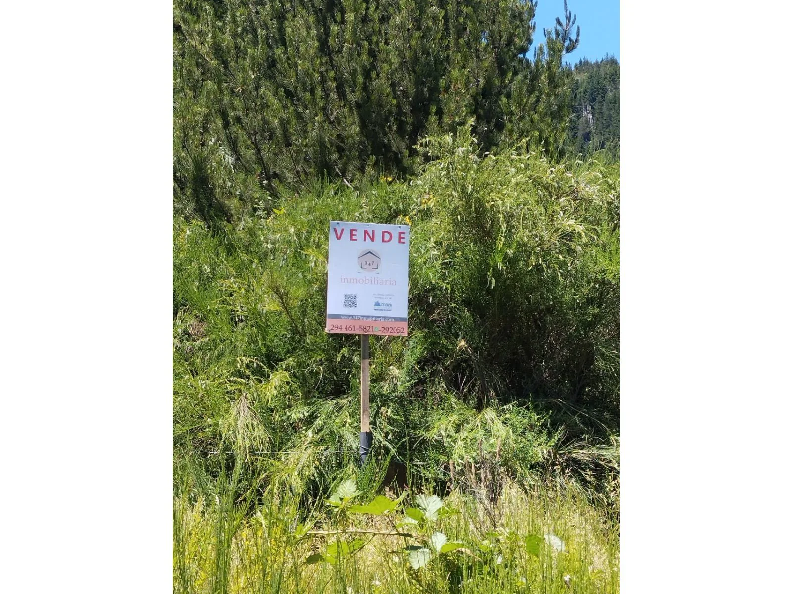 LAGO PUELO-Radal sobre ruta ingreso alternativo-LOTE en condominio de 1.000m2 foto 3