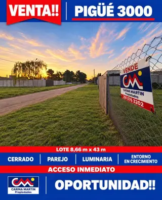 VENTA DE LOTE 8.66X43, PIGÜE 3000, BAHIA BLANCA foto 1