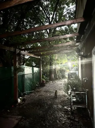 OPORTUNIDAD Casa en Venta en Bo Las Palmas posible PERMUTA foto 5