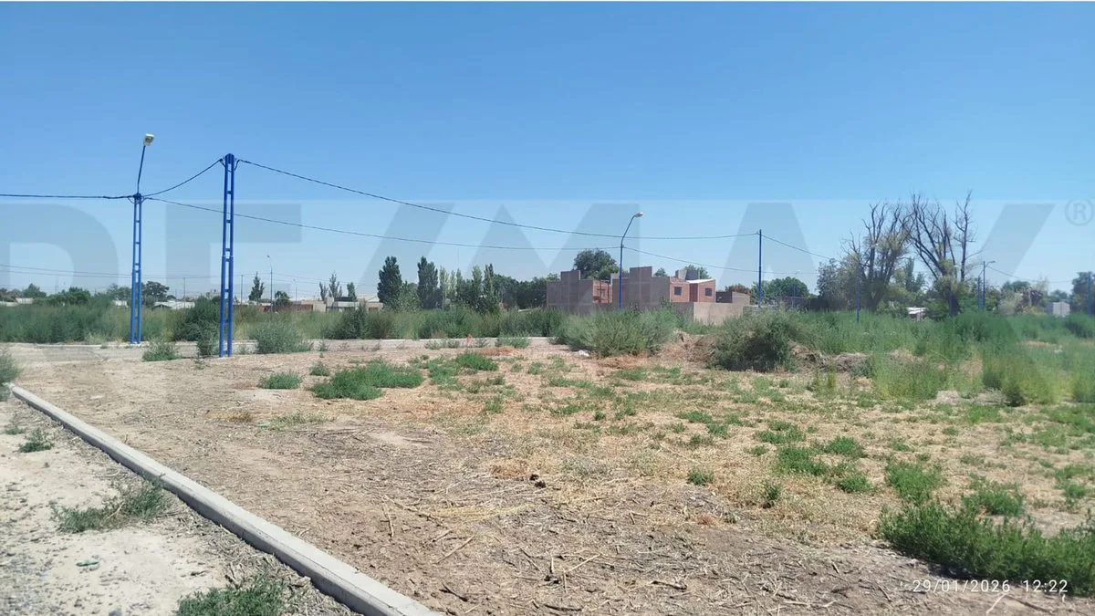 TERRENO GENERAL ROCA foto 2