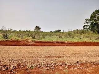 Lote 12 en esquina: más espacio, naturaleza y una vista privilegiada foto 2