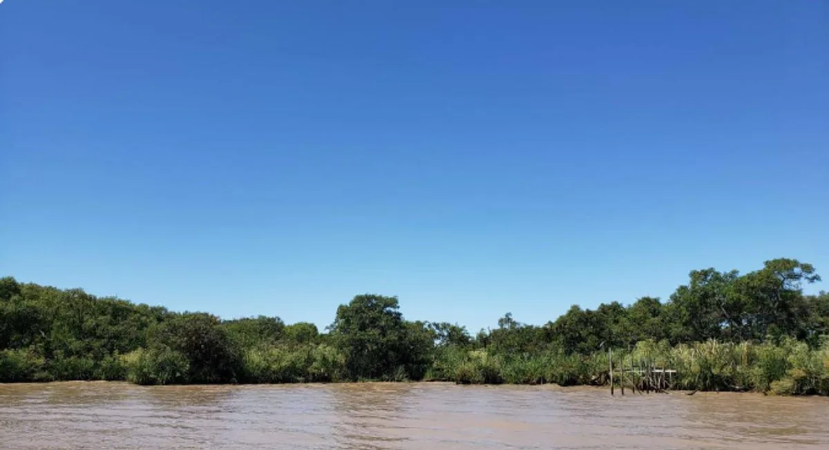 Venta Lote , margen Río Urion, 1ra Secc Delta foto 2
