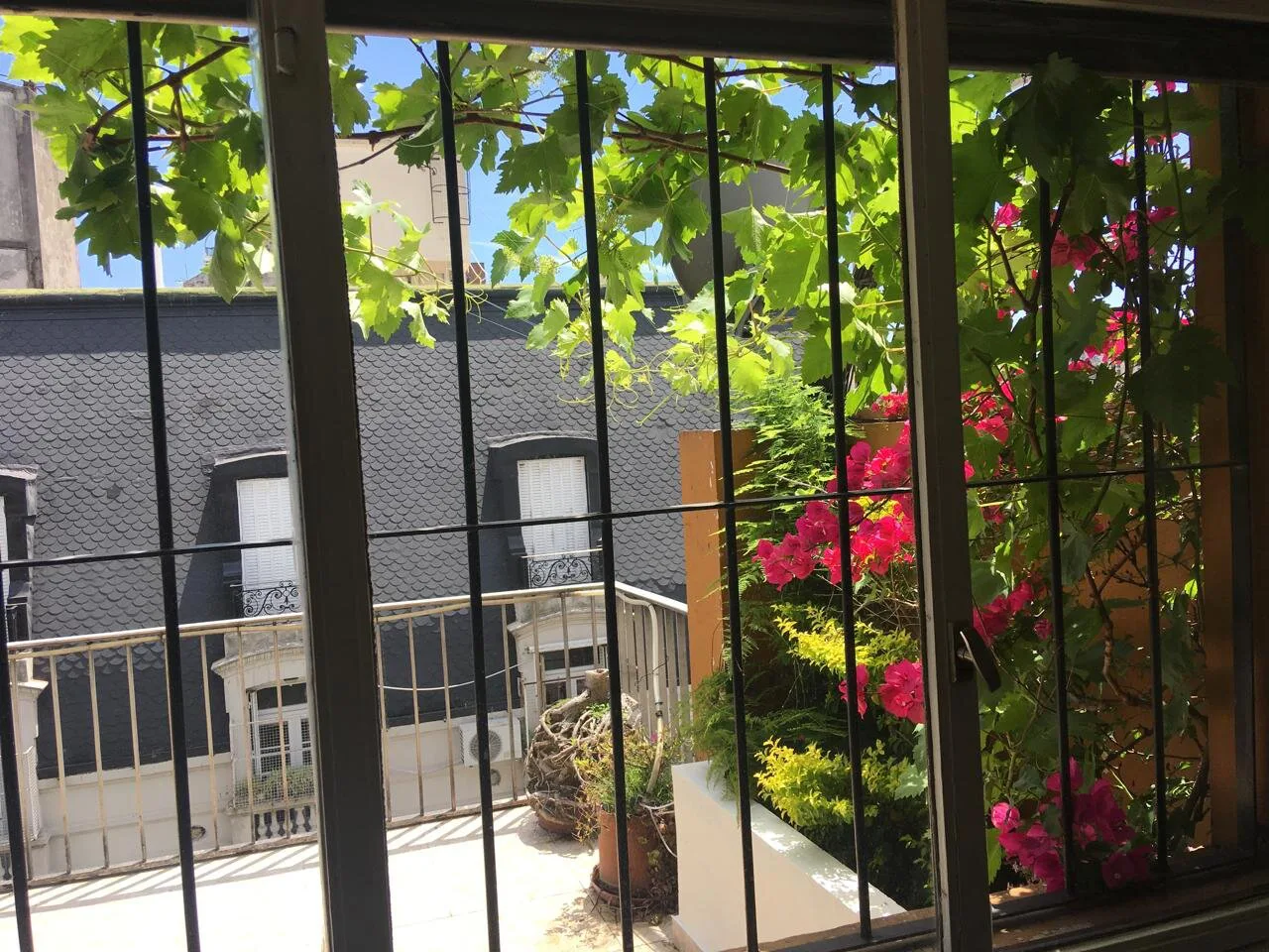 Furnished 1-Bedroom Apartment with River-View Terrace Balcony and Grill in Recoleta – photo 13 of 14