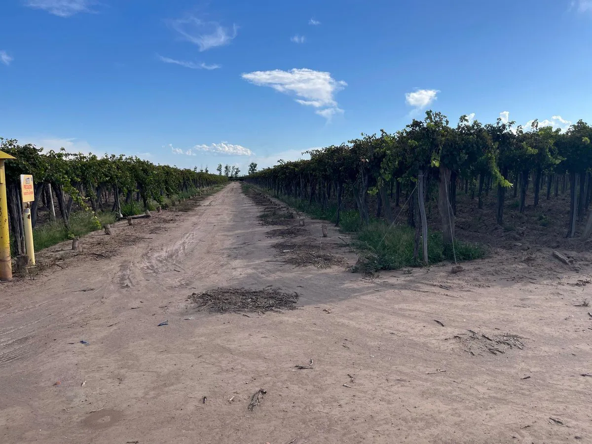 VENTA DE FINCA EN SAN MARTIN foto 5