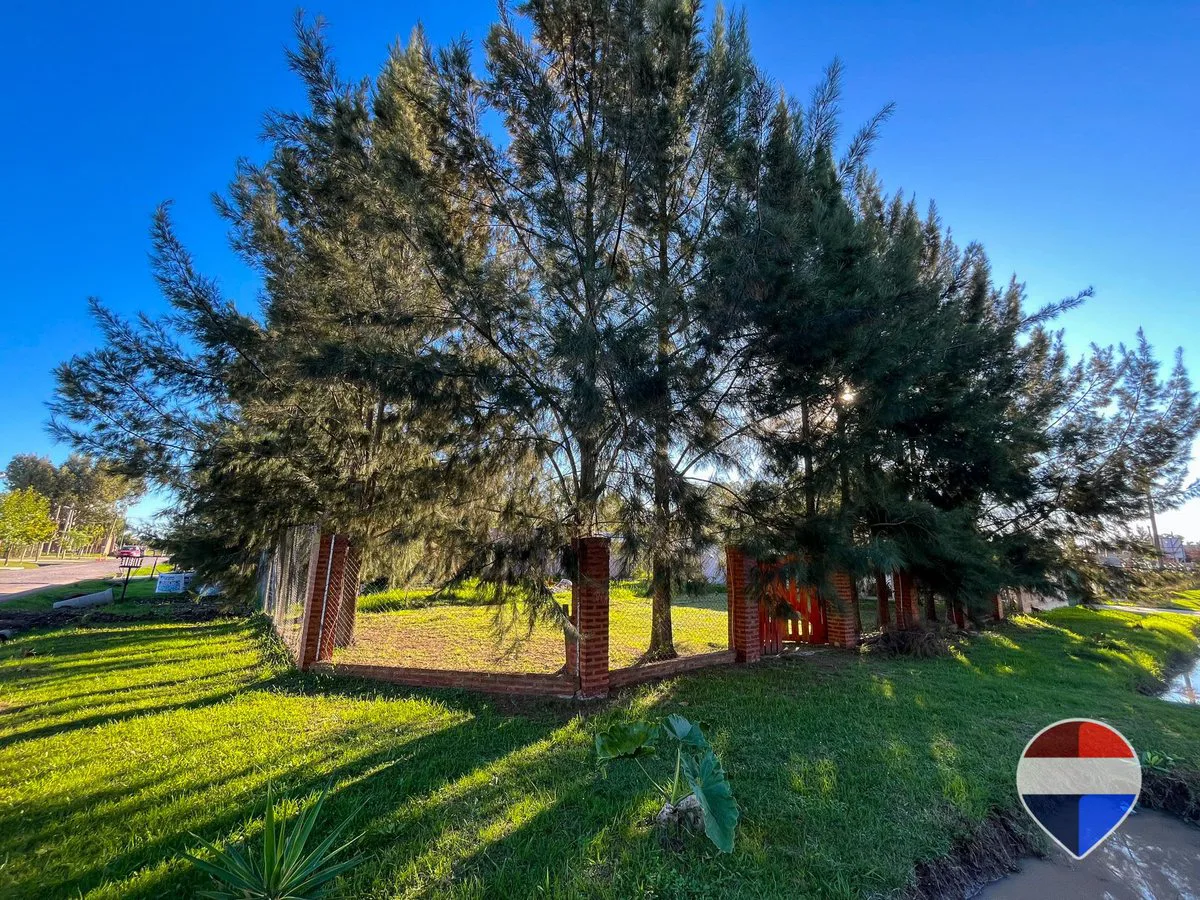 TERRENO EN VENTA EN SAN VICENTE CON CERCO Y PORTON foto 5