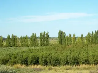 Campo en Venta en Goudge, San Rafael, Mendoza foto 1