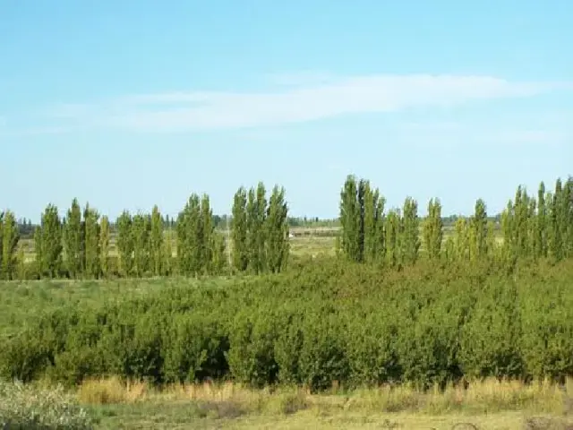 Campo en Venta en Goudge, San Rafael, Mendoza