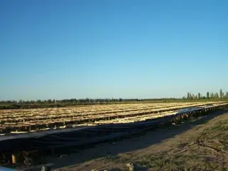 Campo en Venta en Goudge, San Rafael, Mendoza foto 4