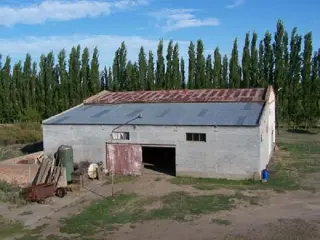 Campo en Venta en Goudge, San Rafael, Mendoza foto 5