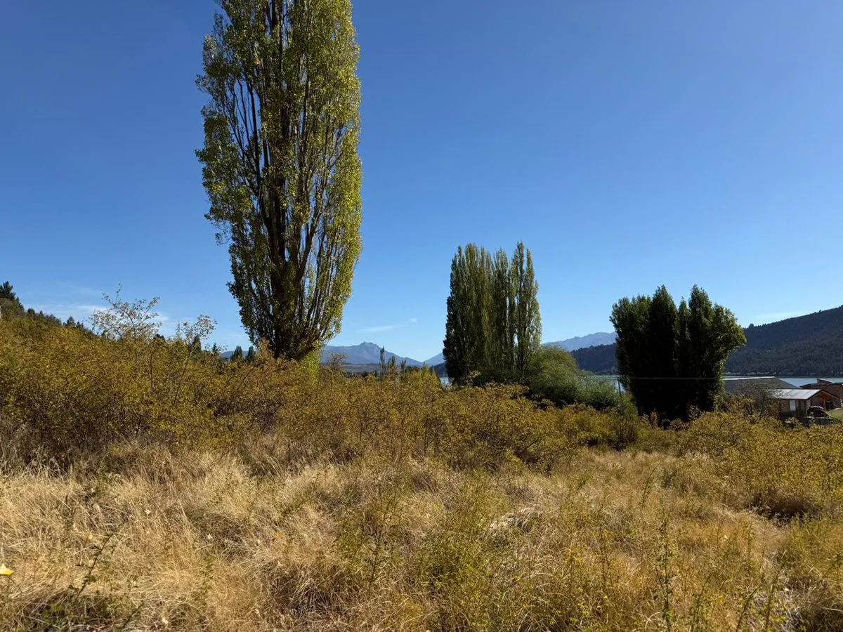 Viví la Patagonia,terreno frente al Lago Mosquito foto 2