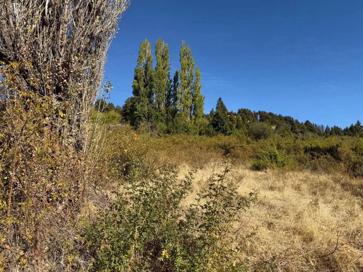 Viví la Patagonia,terreno frente al Lago Mosquito foto 5